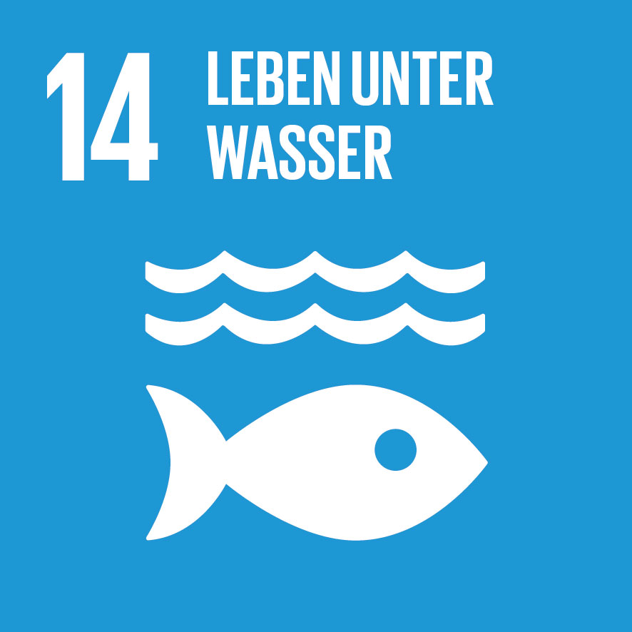 Ziel 14: Leben unter Wasser schützen