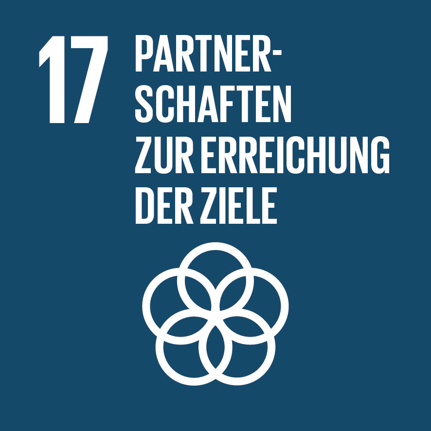 Ziel 17: Globale Partnerschaften