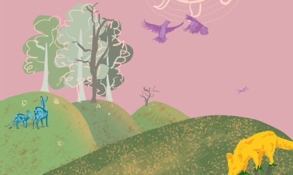 Neue Ausgabe der „Grünen Reihe“ ab jetzt zu lesen