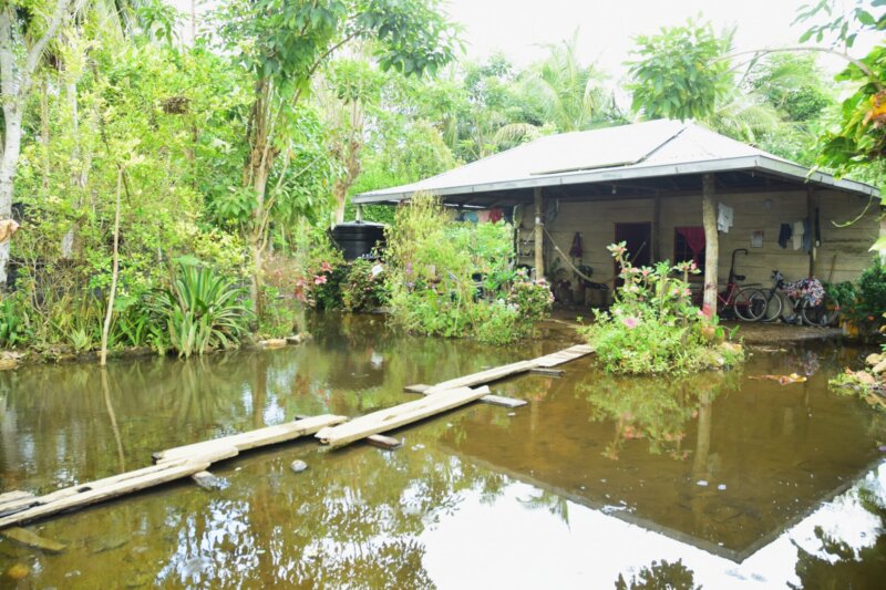 Einfaches Holzhaus in Kolumbien, dessen Garten überschwemmt ist. Holzstege wurden zum Hauseingang ausgelegt.