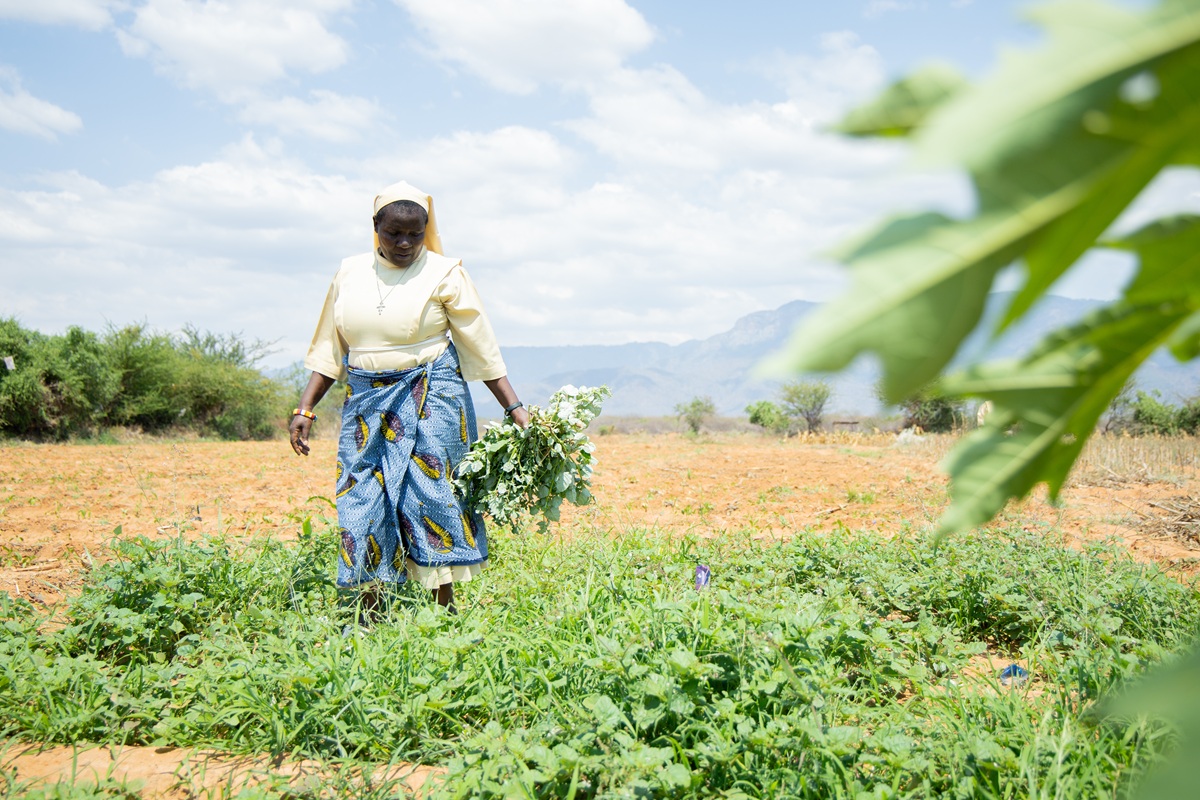Eine Franziskanerschwester erntet Gemüse auf einem Feld. Im Hintergrund sind Berge, Bäume und ein weiter Himmel zu sehen.