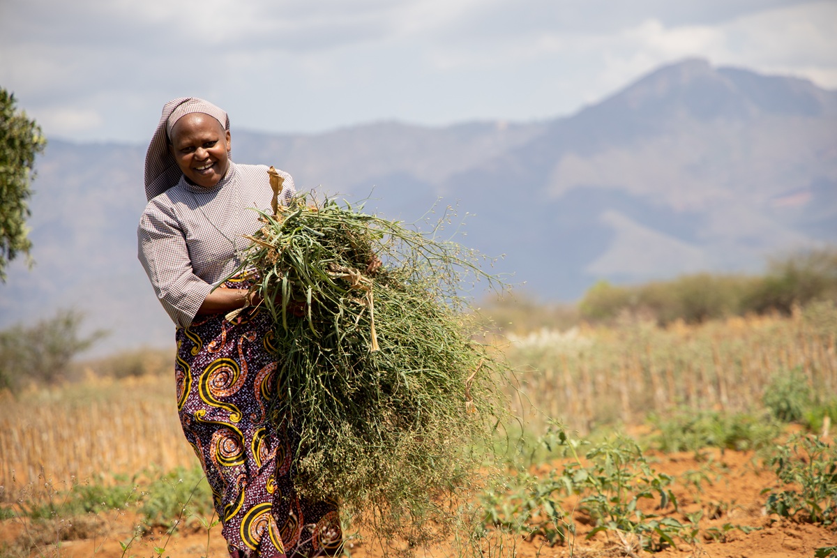 Eine Frau trägt lächelnd frisches Grünfutter über ein Feld, im Hintergrund sind Berge und trockene Landschaft zu sehen.