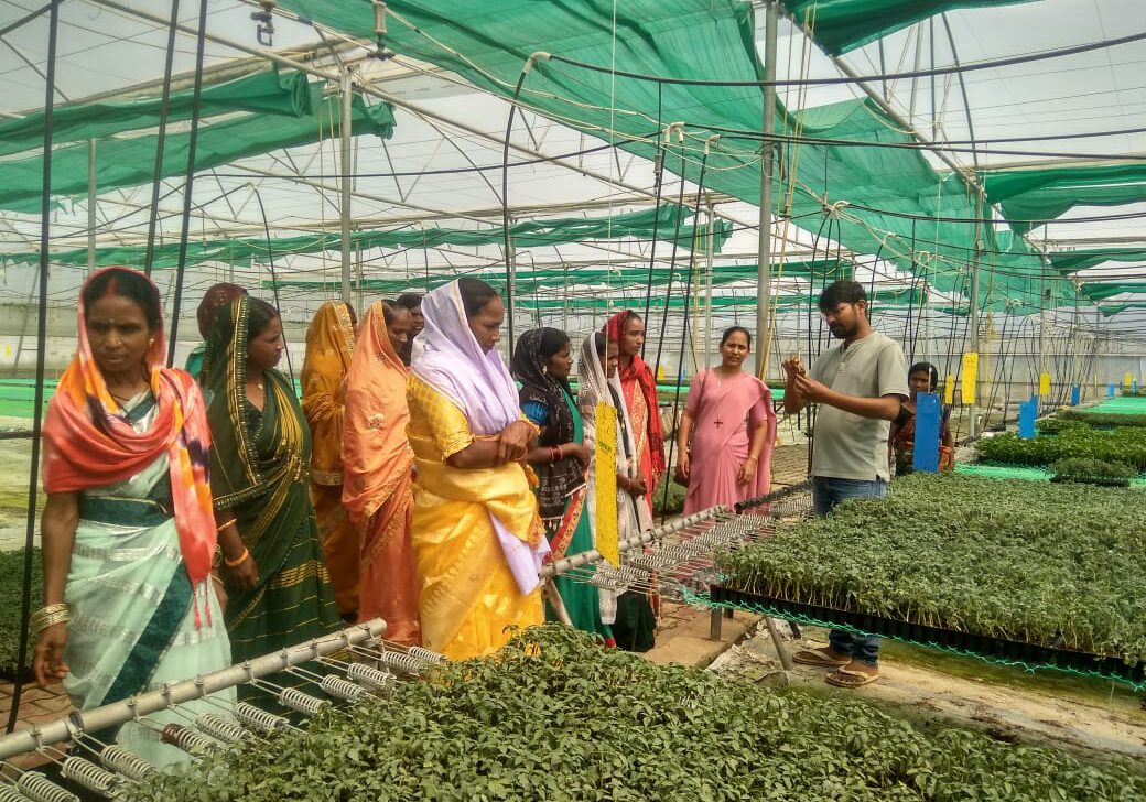 Frauen Landwirtschaft Dalit Indien