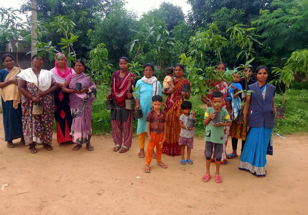 Baumpflanzung Frauen Dalit Indien